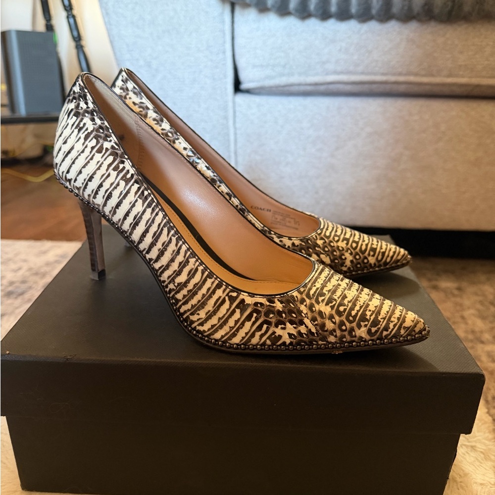 Coach Zebra Print Women's Heels